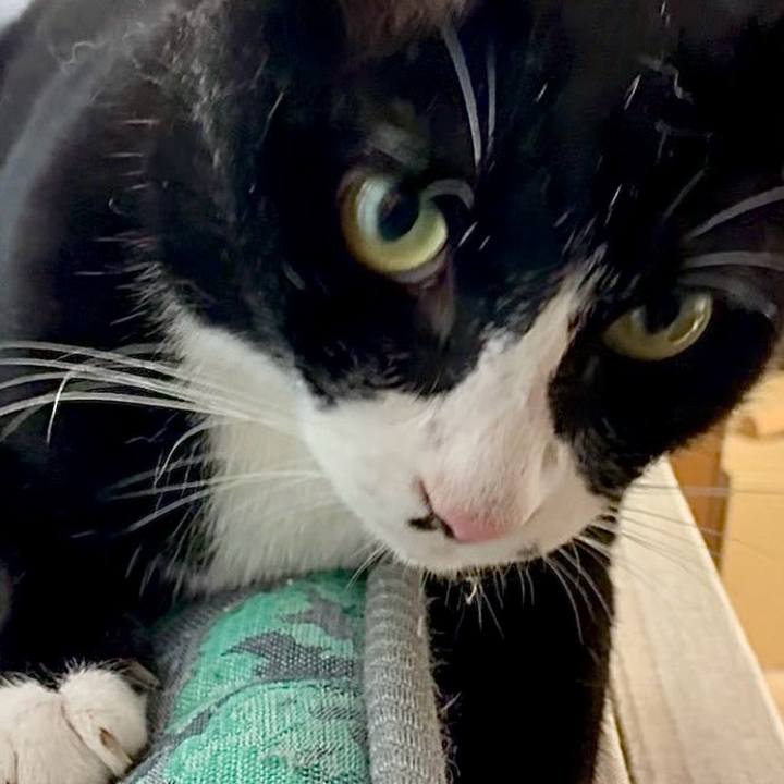 36cc282f ca3e 4b75 9ec9 594284f31a73 1757757428631