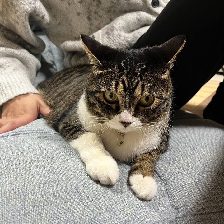 36cc4a98 c545 4bd3 8cef c57417239509 1776035763020