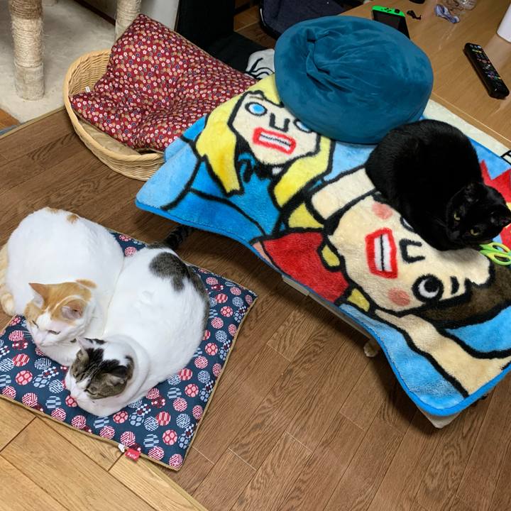 36cc4e86 9576 4861 b9b6 791322f57b16 1578655088306