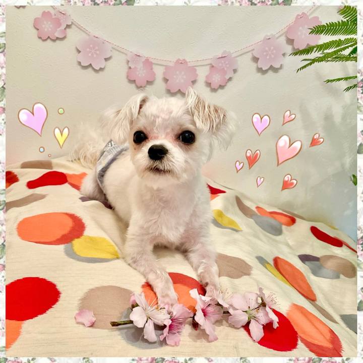 36cc8533 f7be 445f 8b09 a67e2bb8eb71 1648699381189