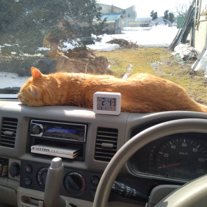 36cc9558 8b10 4105 82ba 5545b5ccf97f 1677910995309