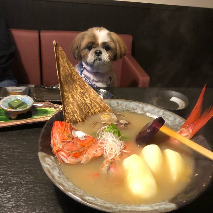 36ccd23e 9cd0 4f9a a876 1e0a4c4818eb 1526032146202