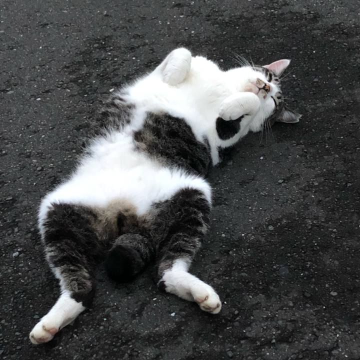 36cceb59 5007 441d b115 c93ace3f0265 1599396813078