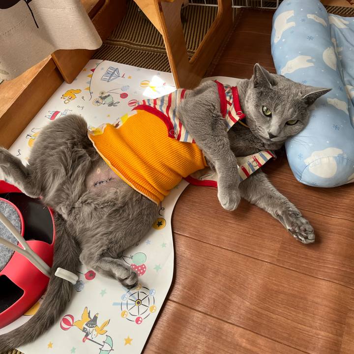 36cd0a32 4911 4f56 bc83 ddbaddda1d04 1641908358148