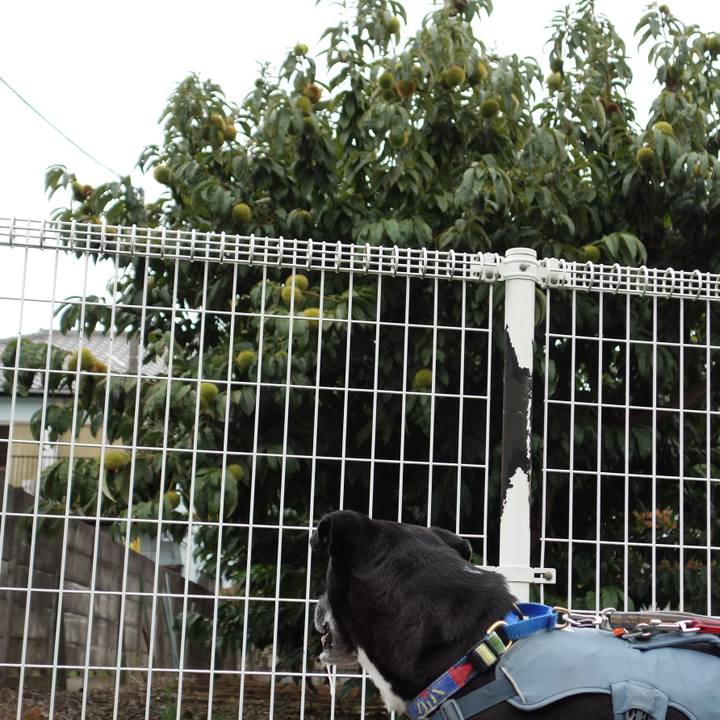 36cd0b98 adb3 47f6 afb5 f34a4895e47e 1727223843799