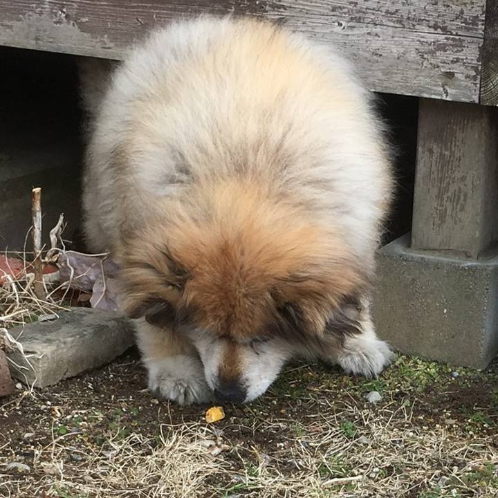 36cd4a89 e2ff 4460 96cd 96993dfd92b7 1590223979438