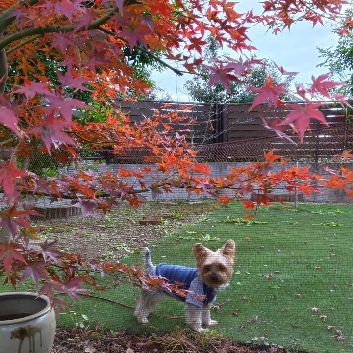 36cd4d9d 609d 4f5e 92a4 1c9deacd553f 1733282520798