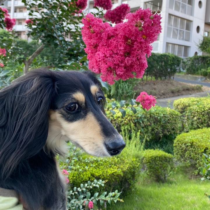 36cd5c59 59b4 46c1 834b 59fd9ac91dec 1753483267709