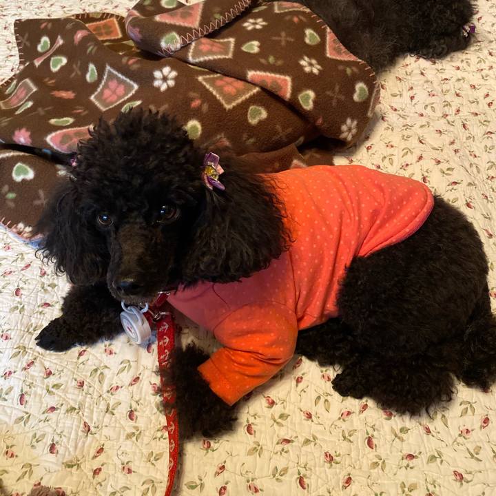 36cda148 0184 45f5 ad6a ab6cb172ea43 1602727979408