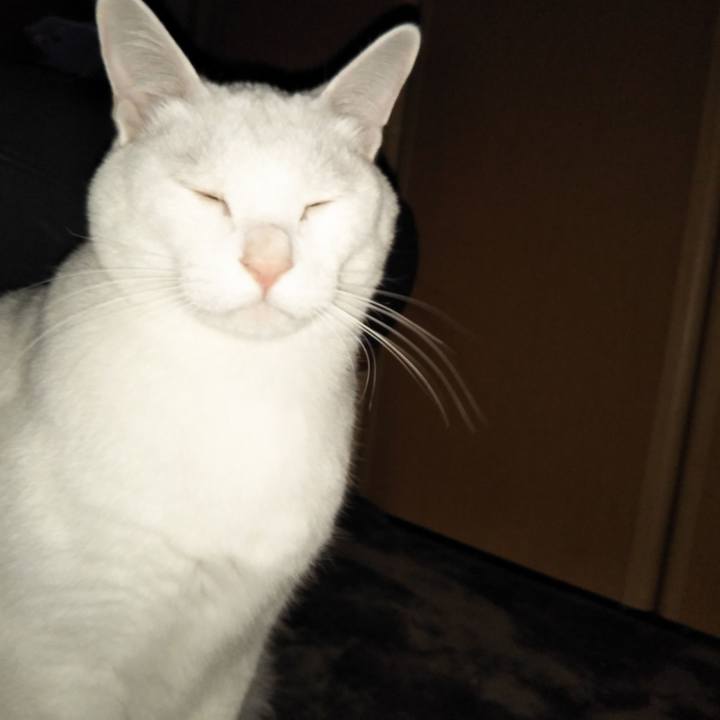 36cda329 ae1d 4a41 943a 707ff6bf4201 1550419621981