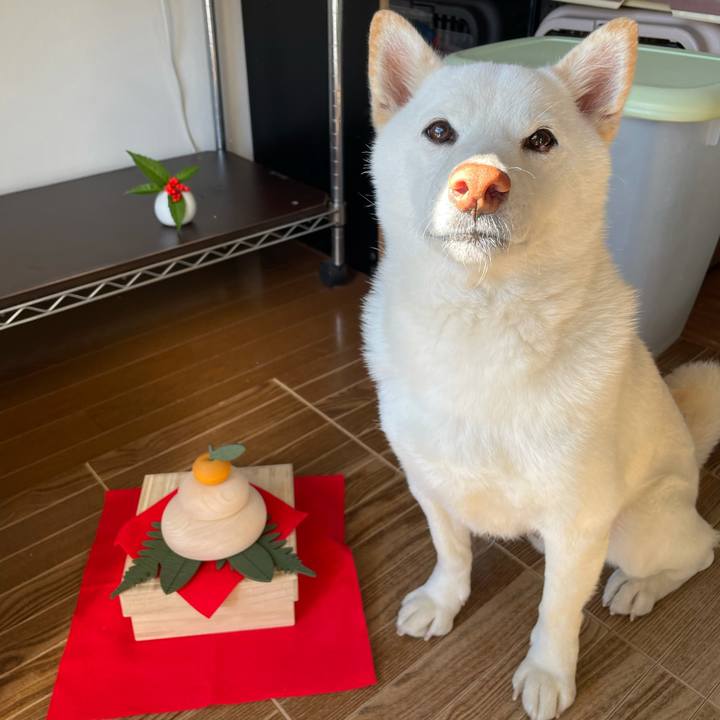 36cda786 85fa 4727 a42d ffb50f028ec0 1610262809448