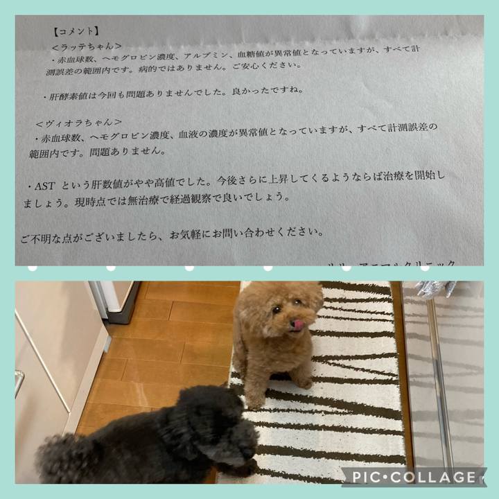 36cdb448 3c38 4835 9bf3 3de75e681dae 1681962977749