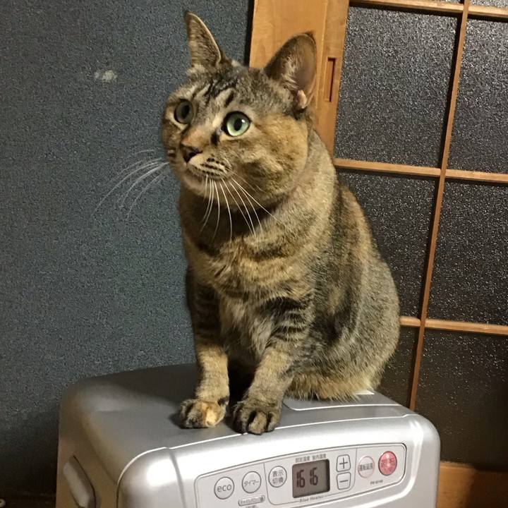 36cdff41 5ad9 40b9 8093 e81b5a8e3346 1704708255731