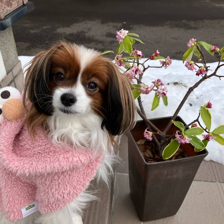 36ce1e83 0291 45fc b607 78c36b7fd2a4 1739407401631