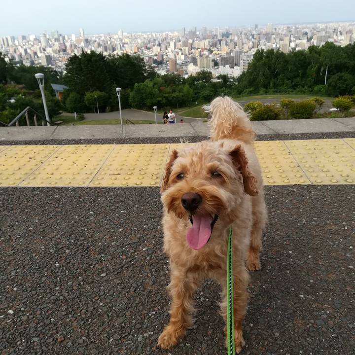 36ce3193 fa20 4c98 832d 227ebc8d0877 1564306668619