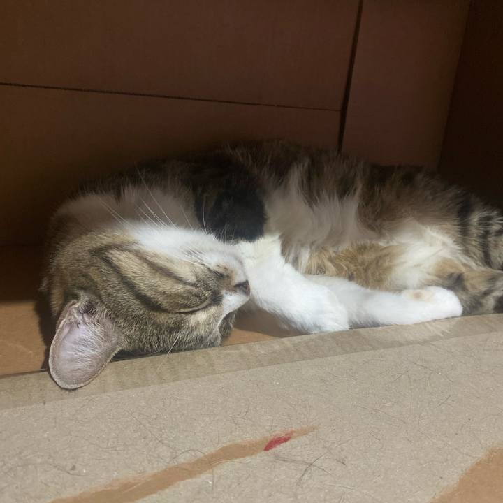 36ce65c4 a8a9 4628 8665 e4bb75ee8da2 1725882313176