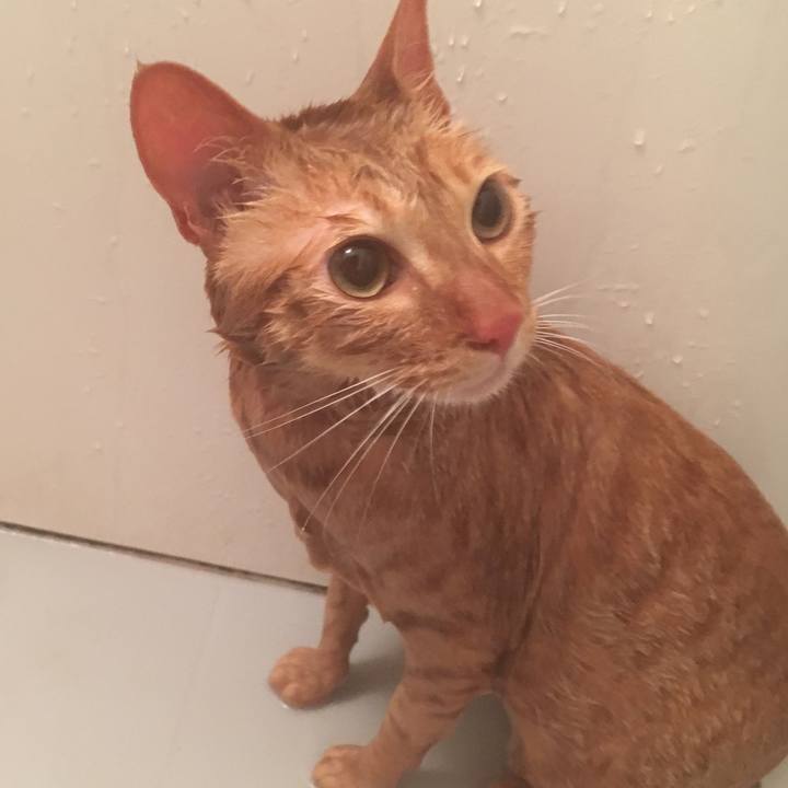 36ce6dac 44f7 46d3 aa3c 34f2b0dc46de 1522935299730