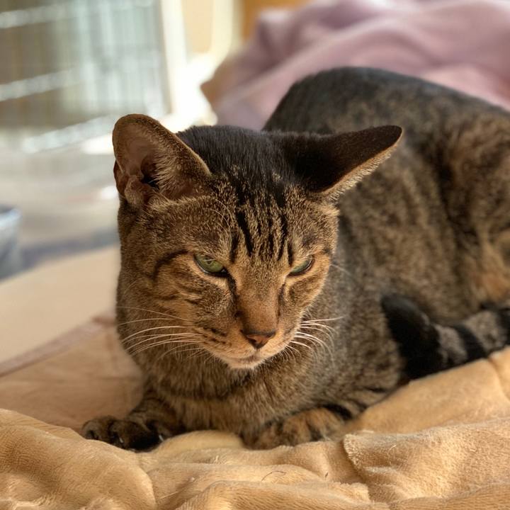 36ce7004 3aca 432a 9c2c e7537b5d978c 1604367047028