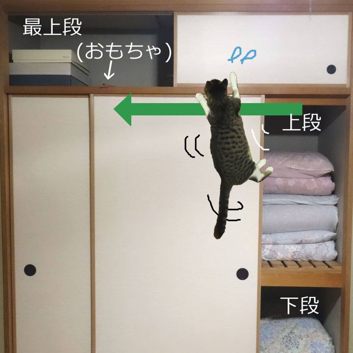 36ce8a71 9d8f 4f14 b4e6 b37f89fcce26 1757561453338