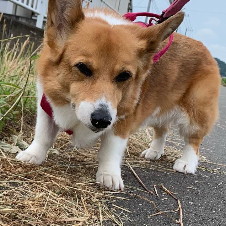 36cea642 df2c 4df6 998a b4087a5bb3e2 1718236715706