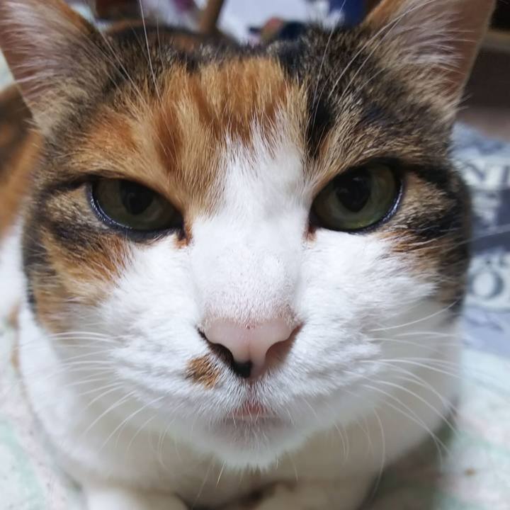 36ceac92 aacd 4eaf 929c c21355510c23 1564657283418