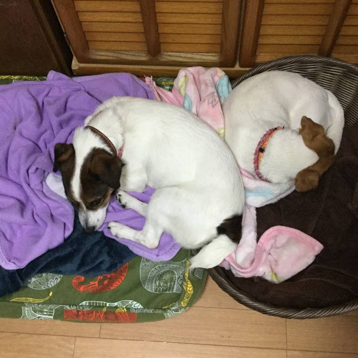 36cec4a5 6b75 42cc 8388 dda46bf205d7 1525902974649