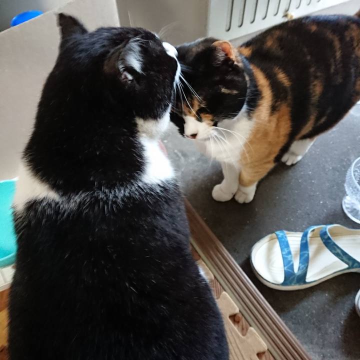 36cec603 b1b5 43b9 b804 1c92e67645a5 1604963946519