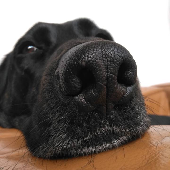 36cef408 ce58 40e7 baa5 4b9c67b124c8 1583556188624