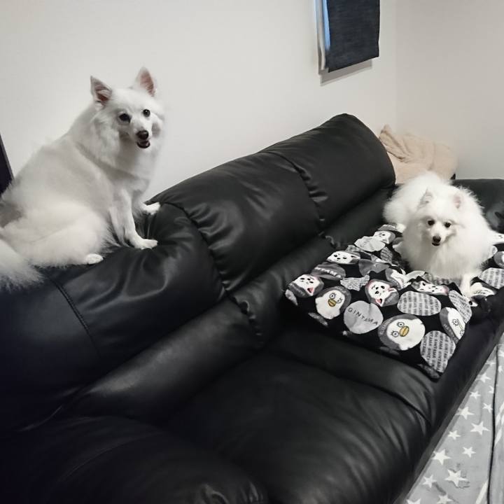 36cf086b 8e5e 401a 9d93 fee5abb8afa9 1589792294056