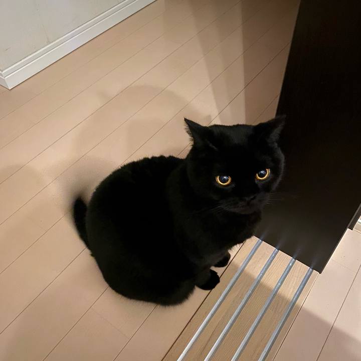 36cfe40e 23dc 4eb0 b59f 2934694ba014 1732194642855