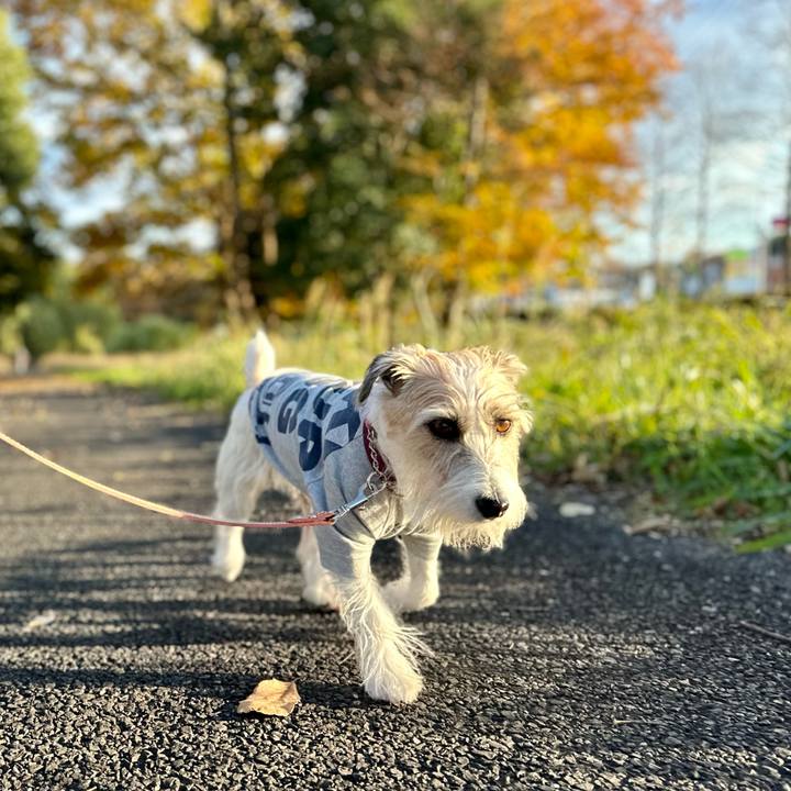 36d001bd 878a 4fbb b828 05c3f81ec76c 1701414279473