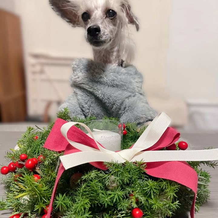 36d053e8 ba3e 4de2 b0e3 492d620f4e8c 1765366556975