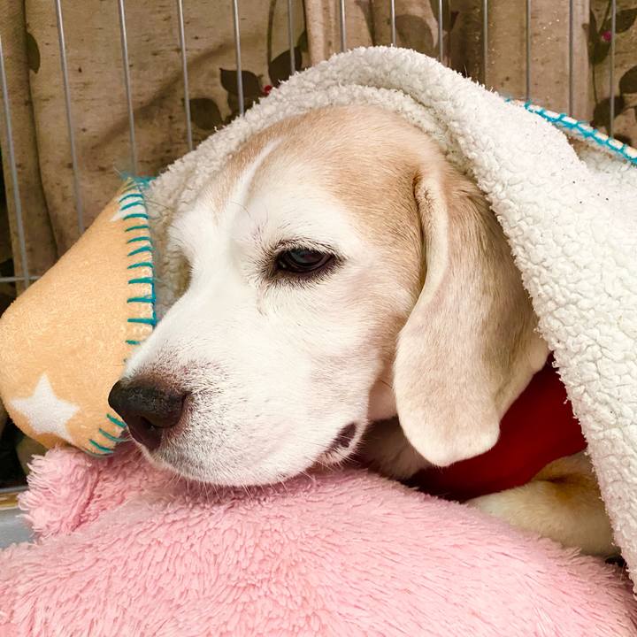 36d08a5a 4187 474b b5b9 6e85a7351635 1666755909473