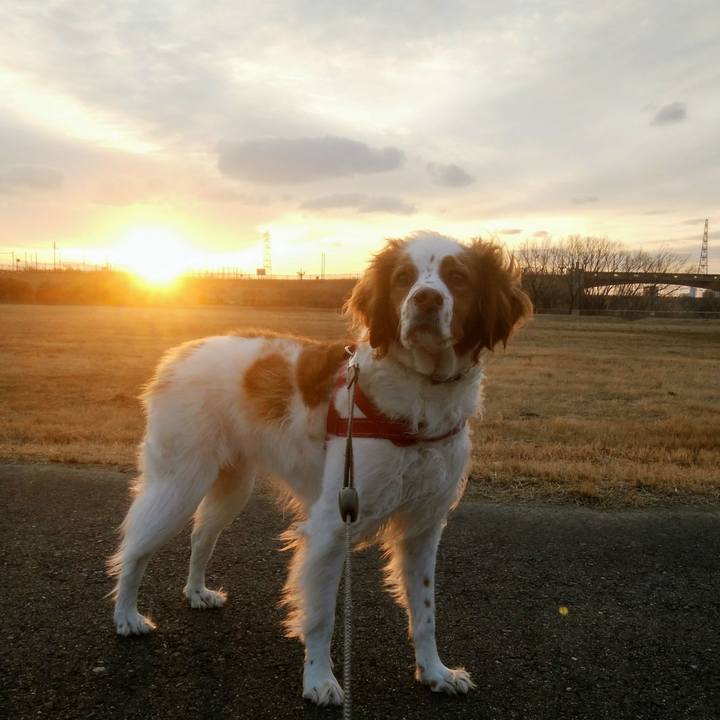 36d0a023 4396 4b13 af5e 2ddb8dbf93ea 1549800117266