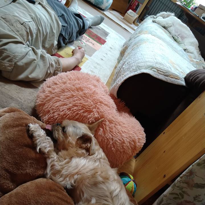 36d0d7dc bb80 4390 948b be3cb8b6d380 1651808331423