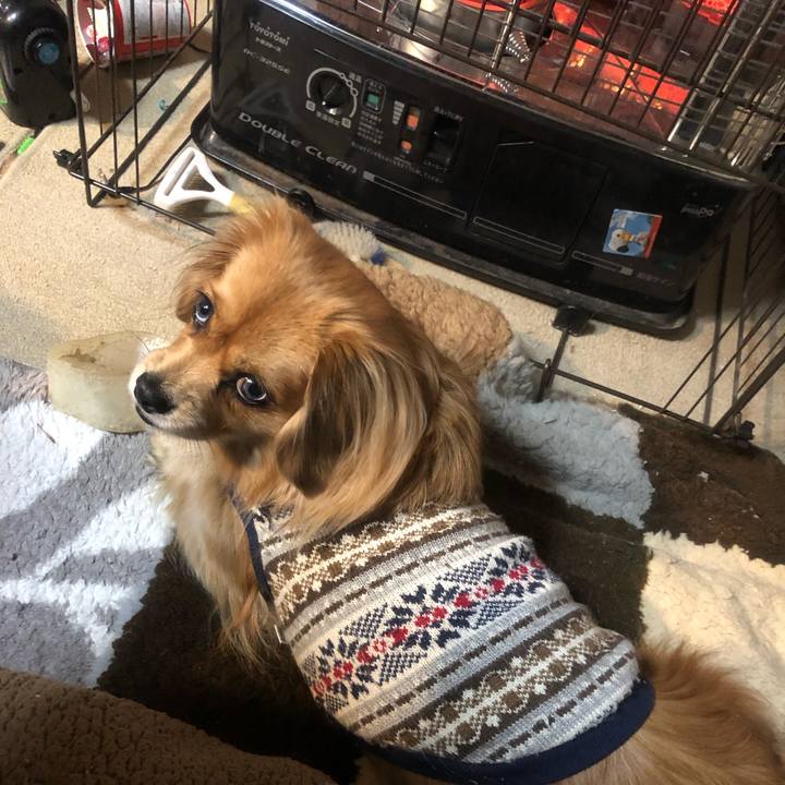 36d11e1c 1107 441a a4b5 f244786eeb5b 1545258116907