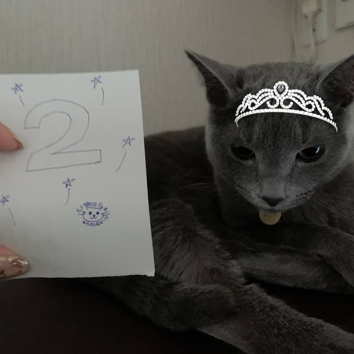 36d1316c 5e53 4d2c a83c 199d0d597c7a 1644704866016