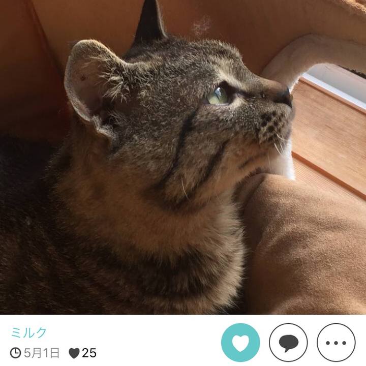 36d13214 58f1 4105 8bde 98ab415f0d89 1511690227110