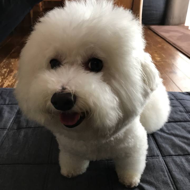 36d13b96 3c69 4246 871d f0b6304dc99d 1532993434408