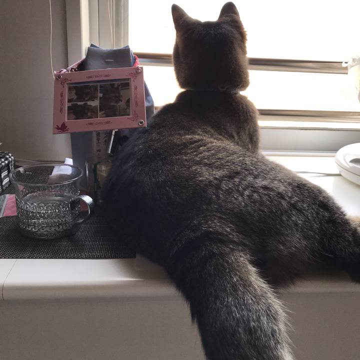 36d15e54 93b5 4682 aeb0 6c76dd2f69e5 1559817456433