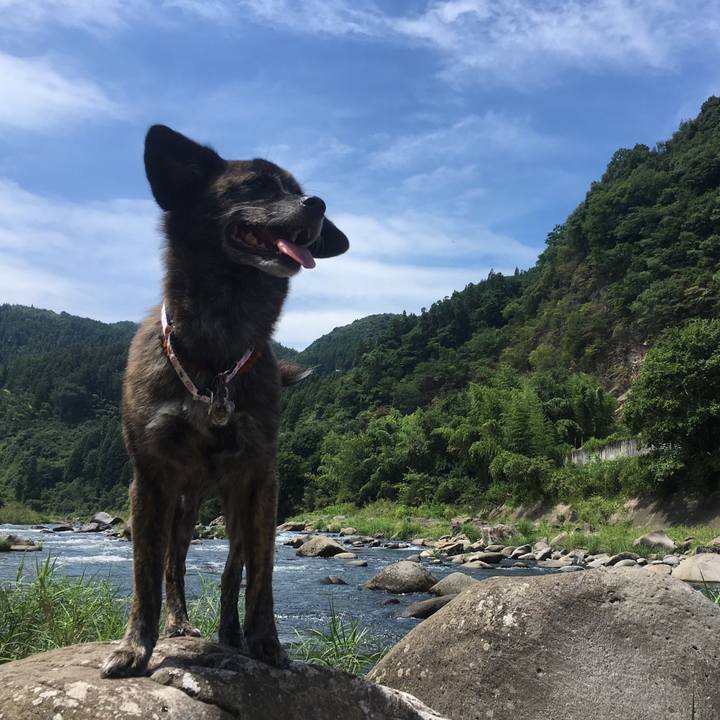 36d18afe f4f0 4d21 a724 14ecc6d8353e 1534948857344