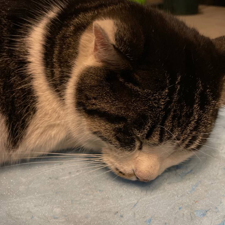 36d1944d 6c2f 4b77 8978 de27554c24f9 1613295058507