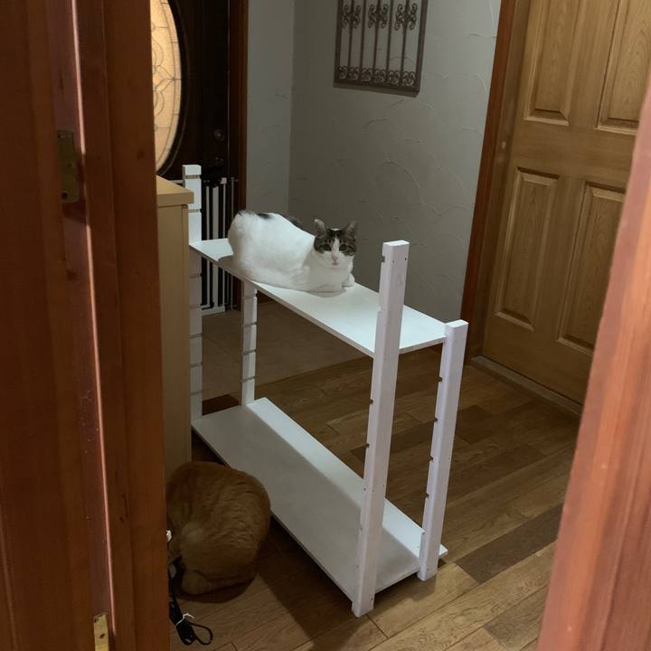 36d1a138 a065 45fa a597 80be5f61e503 1668346147529