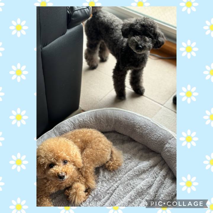 36d1aab6 231e 478f 8a54 b31c085cbbe0 1712195786573