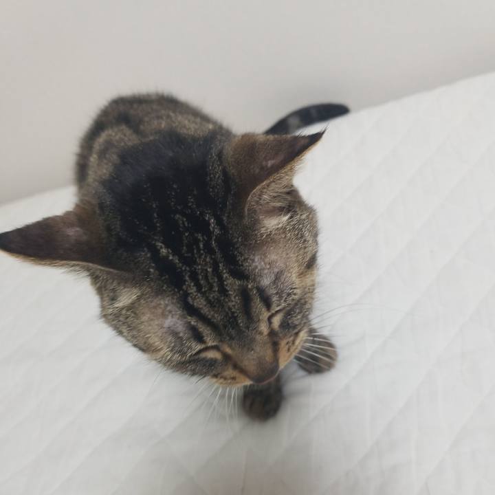 36d1bde7 d56d 4a61 8c19 e5e3d57183fc 1589750734386