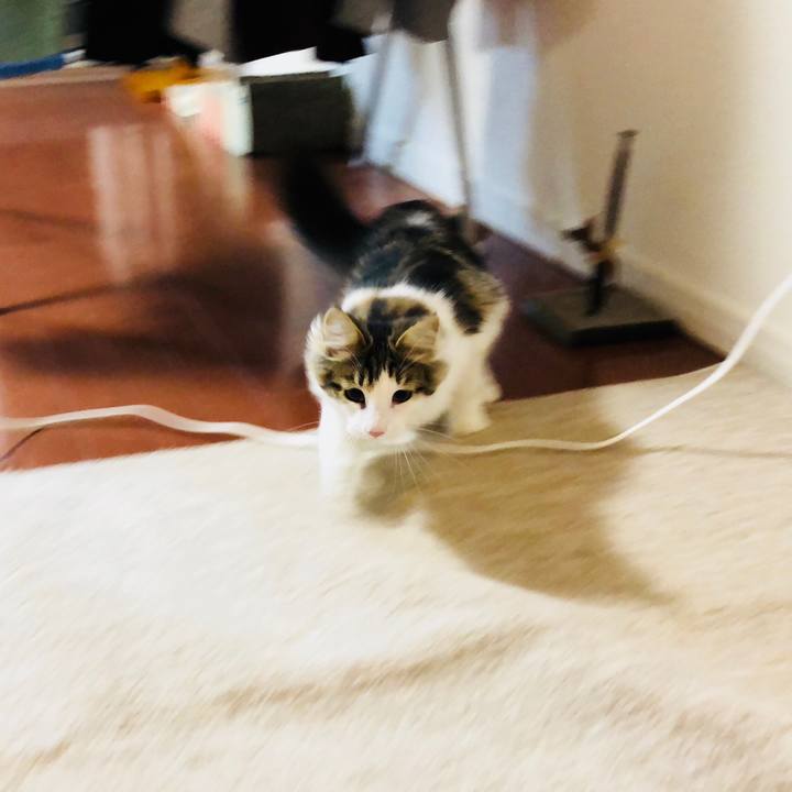 36d1c5af 8189 428d 987d 2305f97cfd7c 1517908074273