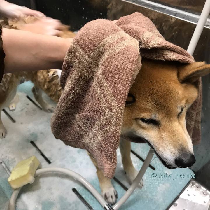 36d1e5e1 2de2 4450 a68b 55686fce53f8 1539064625602