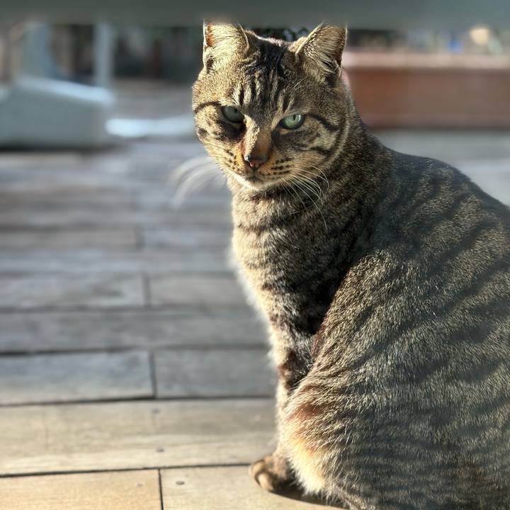 36d202c4 aab6 48ab b7c2 f164a6c9a71c 1740534681184