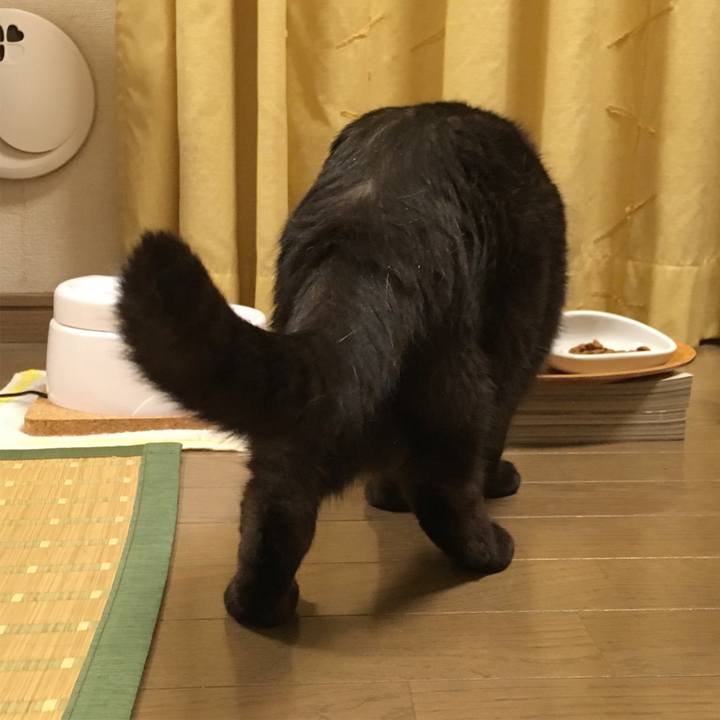 36d20b45 6a7f 4e6b 86d1 96f704c3fd10 1531672957292