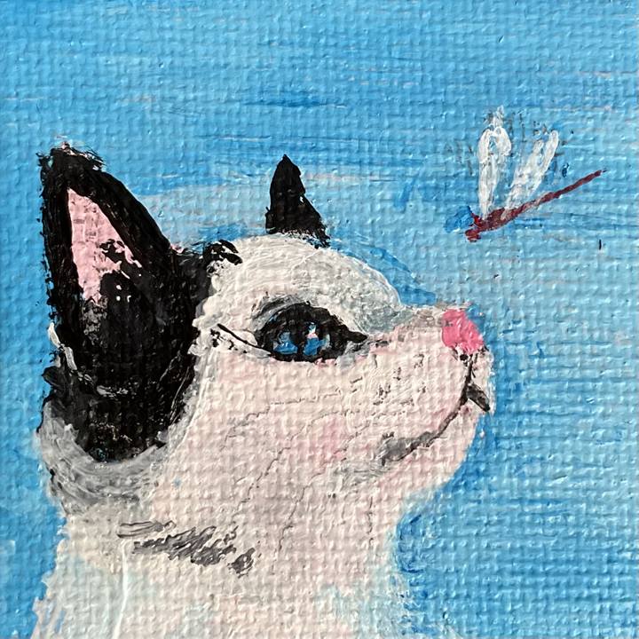 36d27933 7ec5 4dbb b1ba dd7b33a93264 1699232702796